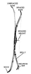 Making a Bow and Arrow for Bow Hunting Image